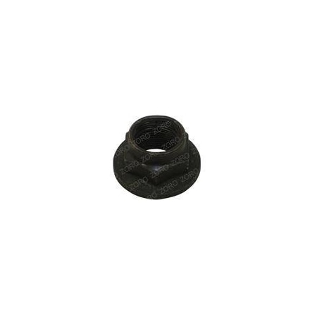 Taylor-Dunn REPLACEMENT NUT, PINION 97-250-00