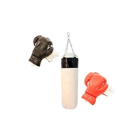 Shelter Boxing Gloves with Punching Bag - 2 Pair Set S101