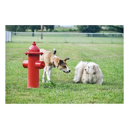 Ultraplay Fire Hydrant, 25 1/4 in H, Red TBARK-465