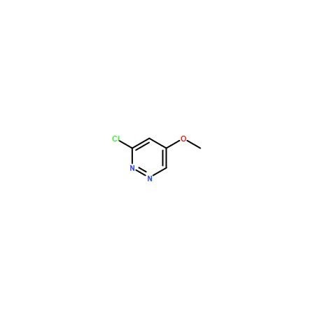 Ak Scientific 3-Chloro-5-methoxypyridazine (1g), CAS 123696-02-6 X9570-1g