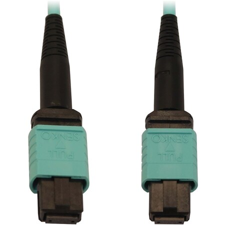 Eaton Tripp Lite Series 40/100/400G Multimode 50/125 OM3 Fiber Optic Cable 12F MTP/MPO-PC F/F, N844B-10M-12-P