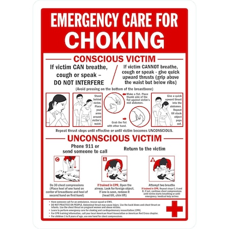 Lyle Emergency Care For Choking, Conscious Victim/ Unconsci, 10x14, Non-Reflective, White G-1186-NA_10x14