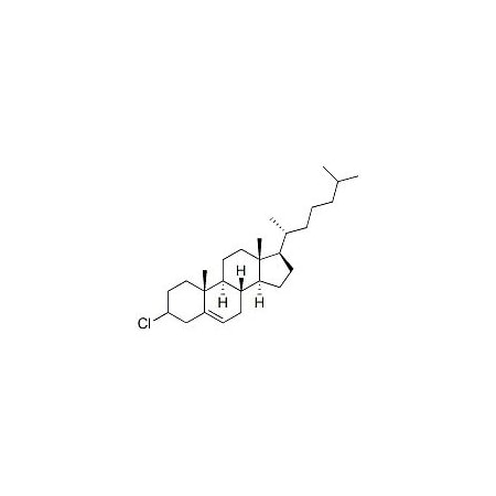 Ak Scientific Cholesteryl chloride (1g), CAS 910-31-6 M177-1g