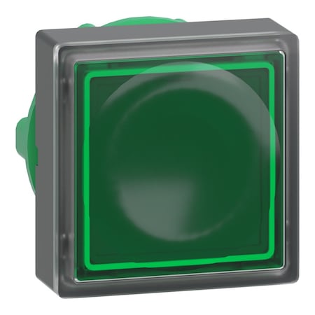Schneider Electric Illuminated Push Button Operator, 22 mm, Green ZB5CW333