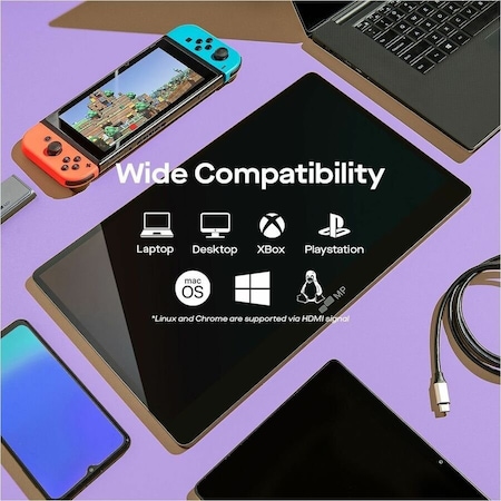 Mobile Pixels MP 15.6in HD OLED Monitor 1011012P01