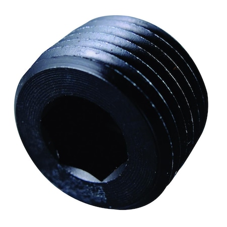 Fragola 493203-BL 0.25 in. NPT Allen Pipe Plug, Black FRG493203-BL