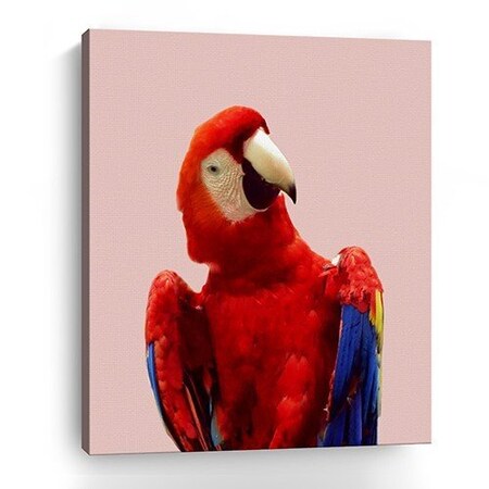 Homeroots Vibrant And Vivid Bird Unframed Print Wall Art 398872