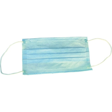 Workhorse Single Use 3-Ply Face Mask, 50PK E5420991