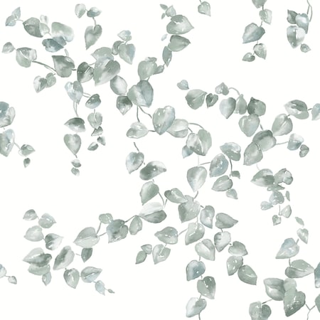 York Wallcoverings Creeping Fig Vine Sage Wallpaper FH4037