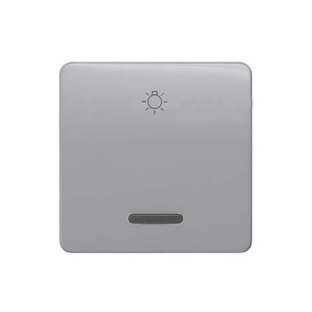Siemens DELTA profil, silver Rocker switch with window with symbol light for pushbutton 5TG7926