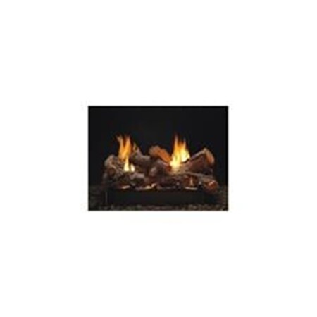 Empire 24 in. Intermittent Pilot Vista Multi-Sided Burner with Thermostat Remote - Natural Gas VFSUE24N