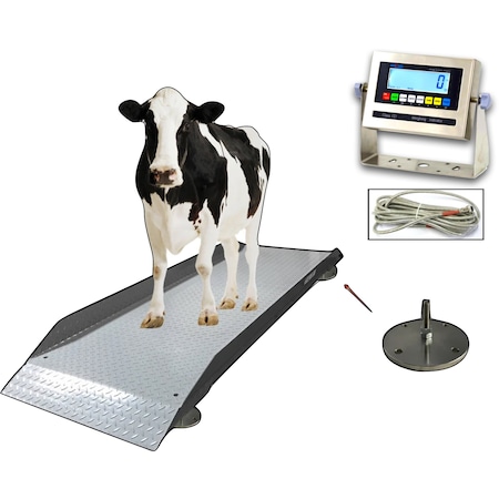 Selleton Scales Alleyway Scale for Livestock & Cattle, 7 ft x 36 in SL-929-7X36