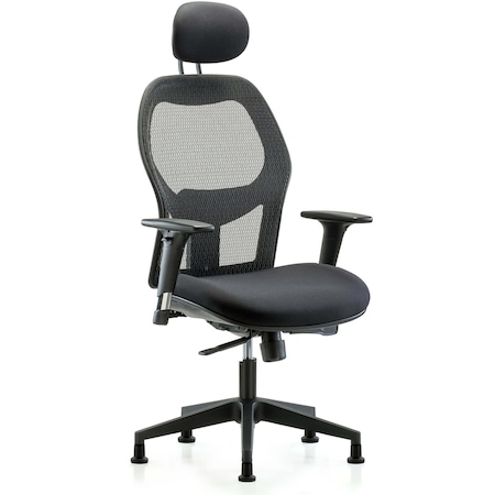 Blue Ridge Ergonomics Executive Mesh Chair, Headrest, AA, Glides BR-EXE-MDHCH-RG-H1-A1-RG