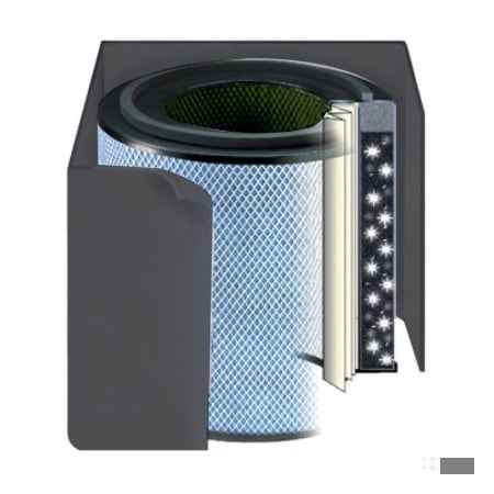 Austin Air Bedroom Machine Standard Replacement Filter, Black FR444A