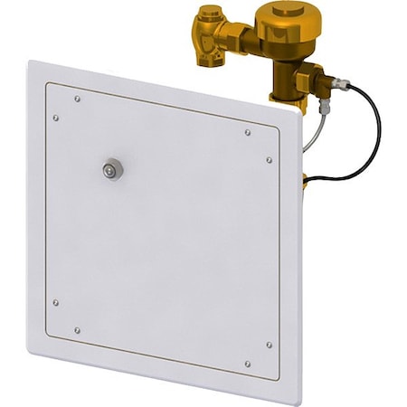 Bestcare Access Panel with Hydraulic Flush Valve WH2898-1.28