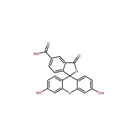 Ak Scientific 5-FAM (1g), CAS 76823-03-5 Z2978-1g