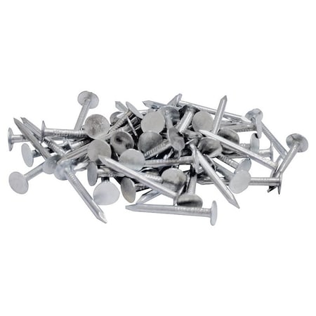 Prosource Roofing Nail, 1 in L, 2D, Hot Dipped Galvanized Finish 00069052