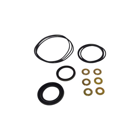 Cnh SEAL, CNH OEM 338623A1 338623A1