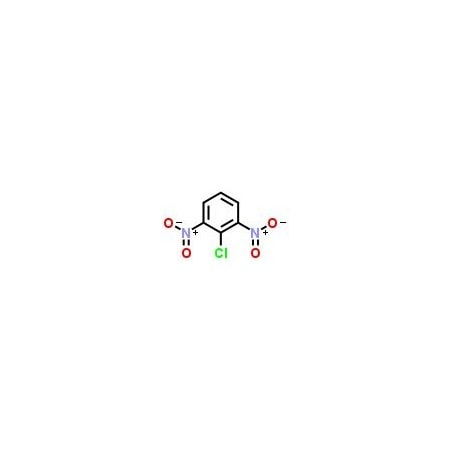 Ak Scientific 2, 6-Dinitrochlorobenzene (1g), CAS 606-21-3 F898-1g