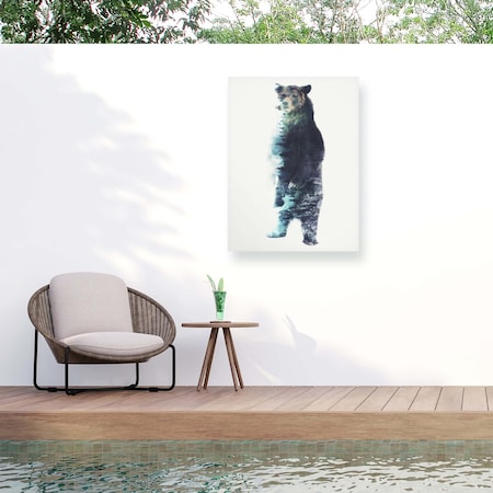 Trademark Fine Art Outdoor Canvas Art Barrett Biggers Misty Bear Wall Art for Patios, or Gardens GRL01357-OC2432WR