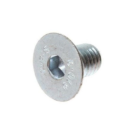 Hyster REPLACEMENT SCREW 1598659
