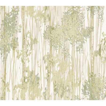 York Wallcoverings Aspen Grove Green Wallpaper GN2601