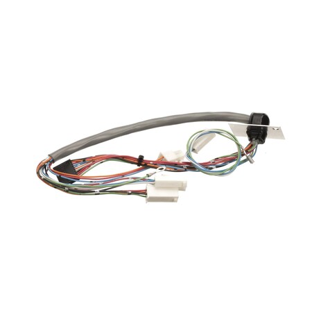 Bunn WIRING HARNESS, DOOR INTERCTPC 29066.0000