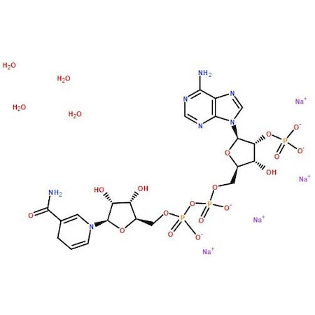 Ak Scientific Beta-nicotinamide adenine dinucleotide phosphate tetrasodium salt (reduced form) (100mg), CAS 2646- 6181AH-100mg