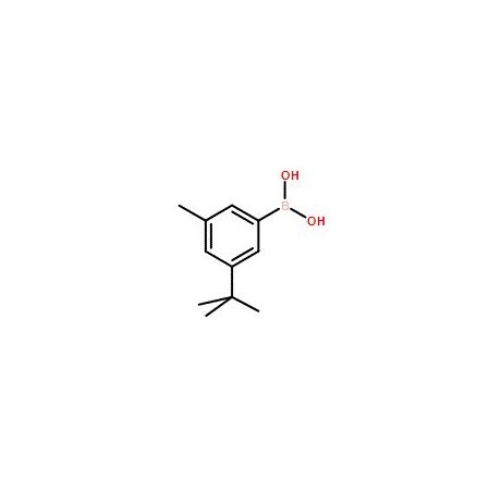 Ak Scientific 3-t-Butyl-5-methylphenylboronic acid (1g), CAS 193905-93-0 X0599-1g