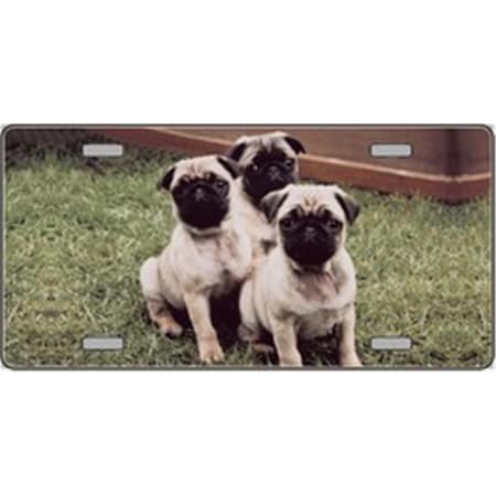 Powerhouse Pug Dog Pet Novelty License Plates- Full Color Photography License Plates PO2653166