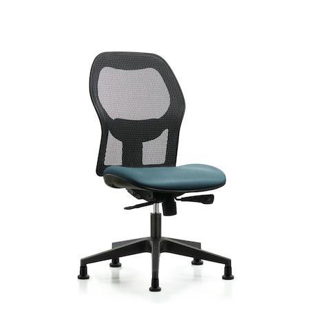 Blue Ridge Ergonomics Mesh Back Chair, Storm Seat, Glides BR-EXE-VMDHCH-RG-H0-A0-RG-8822