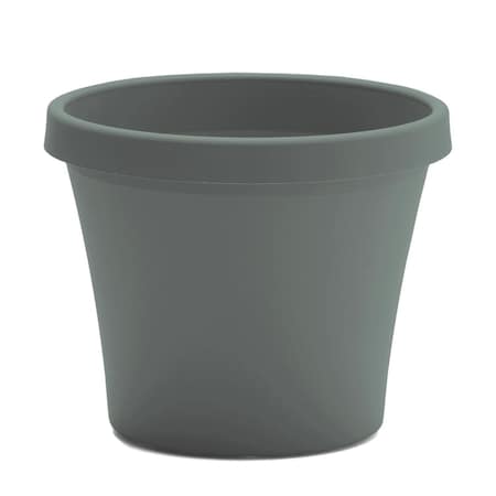 Bloem Terra 5.5 in. H X 6.5 in. W X 4.5 in. D Plastic Traditional Planter Basil TR0641
