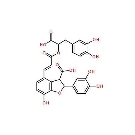 Ak Scientific Lithospermic acid (1mg), CAS 28831-65-4 X1174-1mg