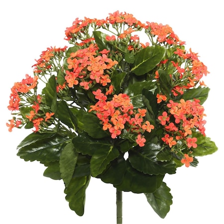 Dare2Decor 15.5 in. Orange Kalanchoe Bush DA1235990