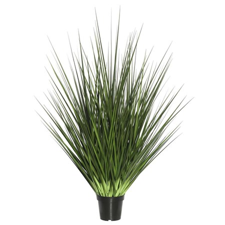 Grandoldgarden X112 Everyday Grass On Pot - 36 in. GR835701