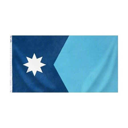 Annin Flagmakers Minnesota State Flag, 3x5 Ft 142760