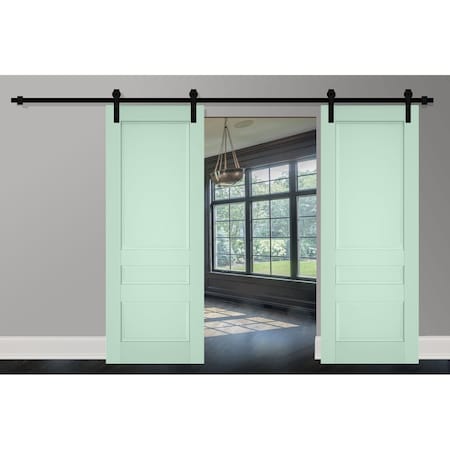 Sartodoors Sturdy Double Barn Door 56x80 (2* 28x80) Solid Core Modern Interior VEREGIO7411DB-OLI-56