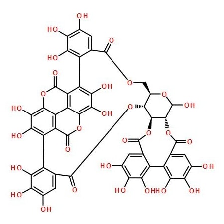 Ak Scientific Punicalagin, from pomegranate Hull P.E. (1g), CAS 65995-63-3 V1526-1g