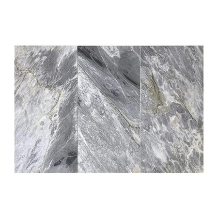 Apollo Tile Gray 12x24 Honed Calacatta Bluette Marble Large Format Wall and Floor Tile 10 sq ft/case, 5PK APLFBL881224H