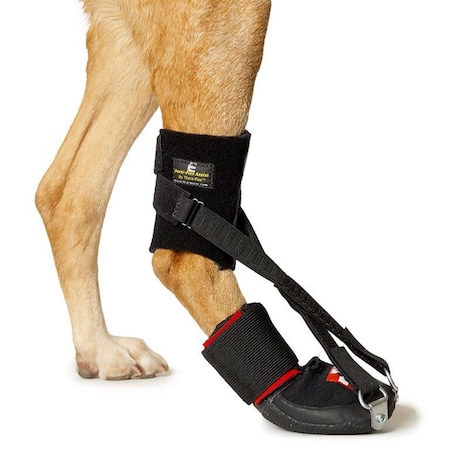 Jorgensen Laboratories Dorsi-Flex Assist, Tiny J1005BA