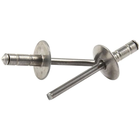 Allstar Performance Large Head Multi-Grip Rivet, Silver, 250PK ALL18094