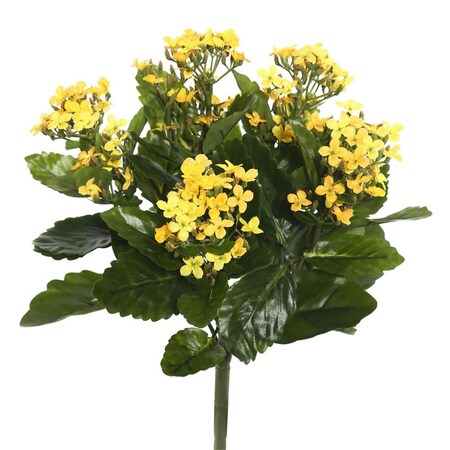 Dare2Decor 17.25 in. Kalanchoe Bush DA1236038