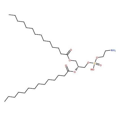 Ak Scientific 1, 2-Dimyristoyl-sn-glycero-3-phosphoethanolamine (5g), CAS 998-07-2 4456AL-5g