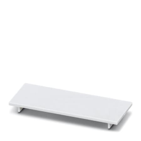 Phoenix Contact ME 22 5 PLATE-MSTBO KMGY DIN rail 2279279