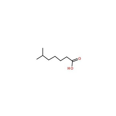 Ak Scientific 6-Methylheptanoic acid (1g), CAS 929-10-2 5715AC-1g