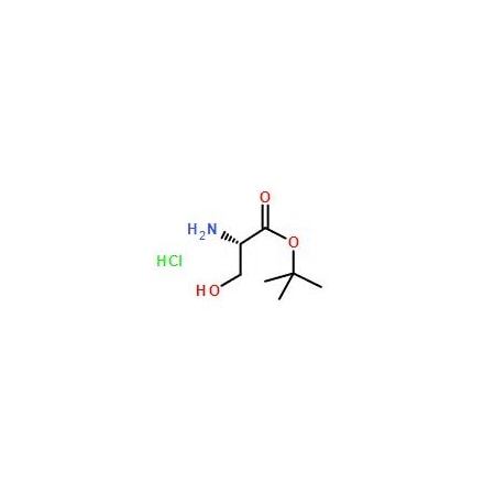 Ak Scientific L-Serine tert-butyl ester hydrochloride (10g), CAS 106402-41-9 1423AA-10g