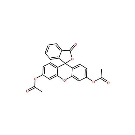 Ak Scientific Fluorescein diacetate (5g), CAS 596-09-8 3679AH-5g