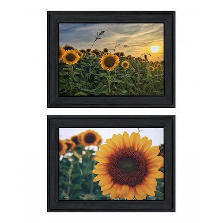 Homeroots Set Of Two Midwest Living 2 Black Framed Print Wall Art, 2PK 407951
