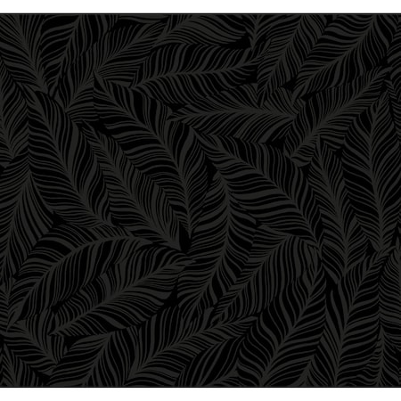 York Wallcoverings Rainforest Canopy Black Wallpaper TC2712