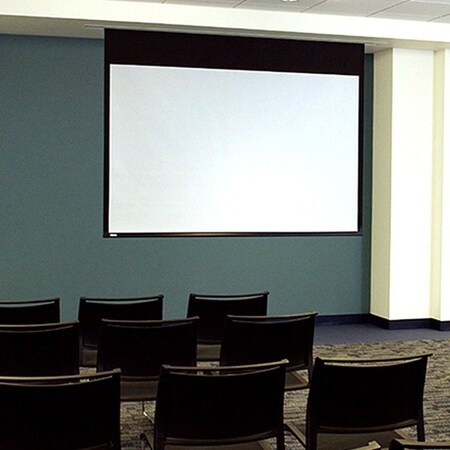 Draper Draper Access E 165" Projection Screen - 16:10, Matt White XT1000E, 110 V - Ceiling recessed 139042U